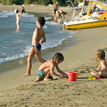 Stella's * 加利萨斯